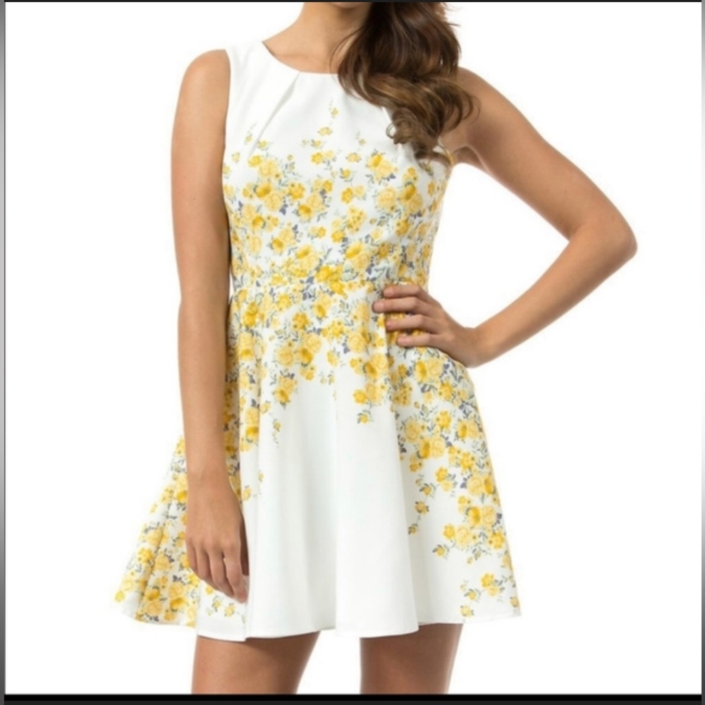 Teeze Me Floral Border Print A-Line Dress in Ivory/ yellow